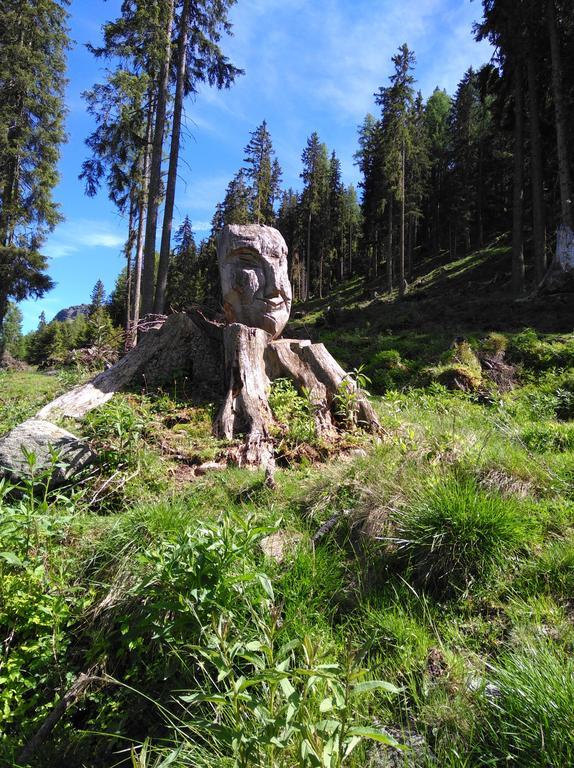 Ferienwohnung Haus Schoderböck St. Leonhard im Pitztal Exterior foto